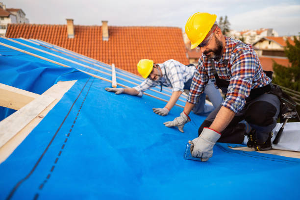 Best Metal Roofing Contractor  in Topeka, IN